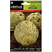 Los mejores  - Semillas Hortícolas - Alcachofa Green Globe - Batlle